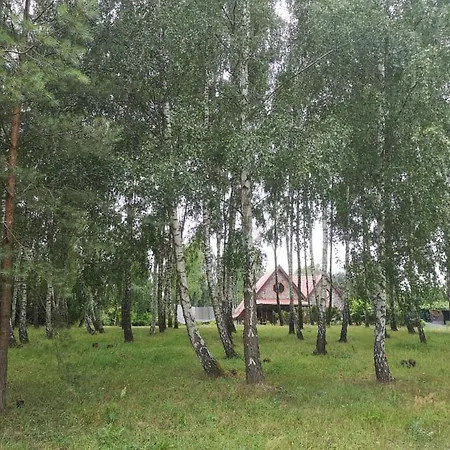 Habitación en casa particular Brzozowy Zaulek *