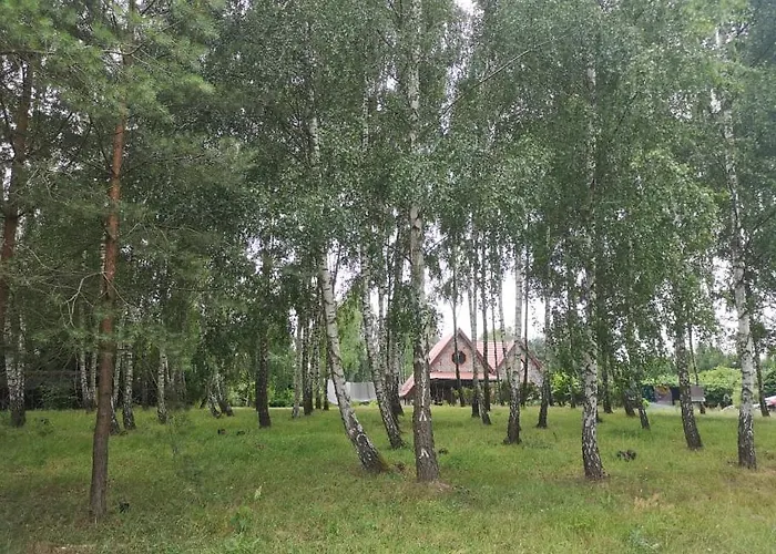 Alloggio in famiglia Brzozowy Zaulek *